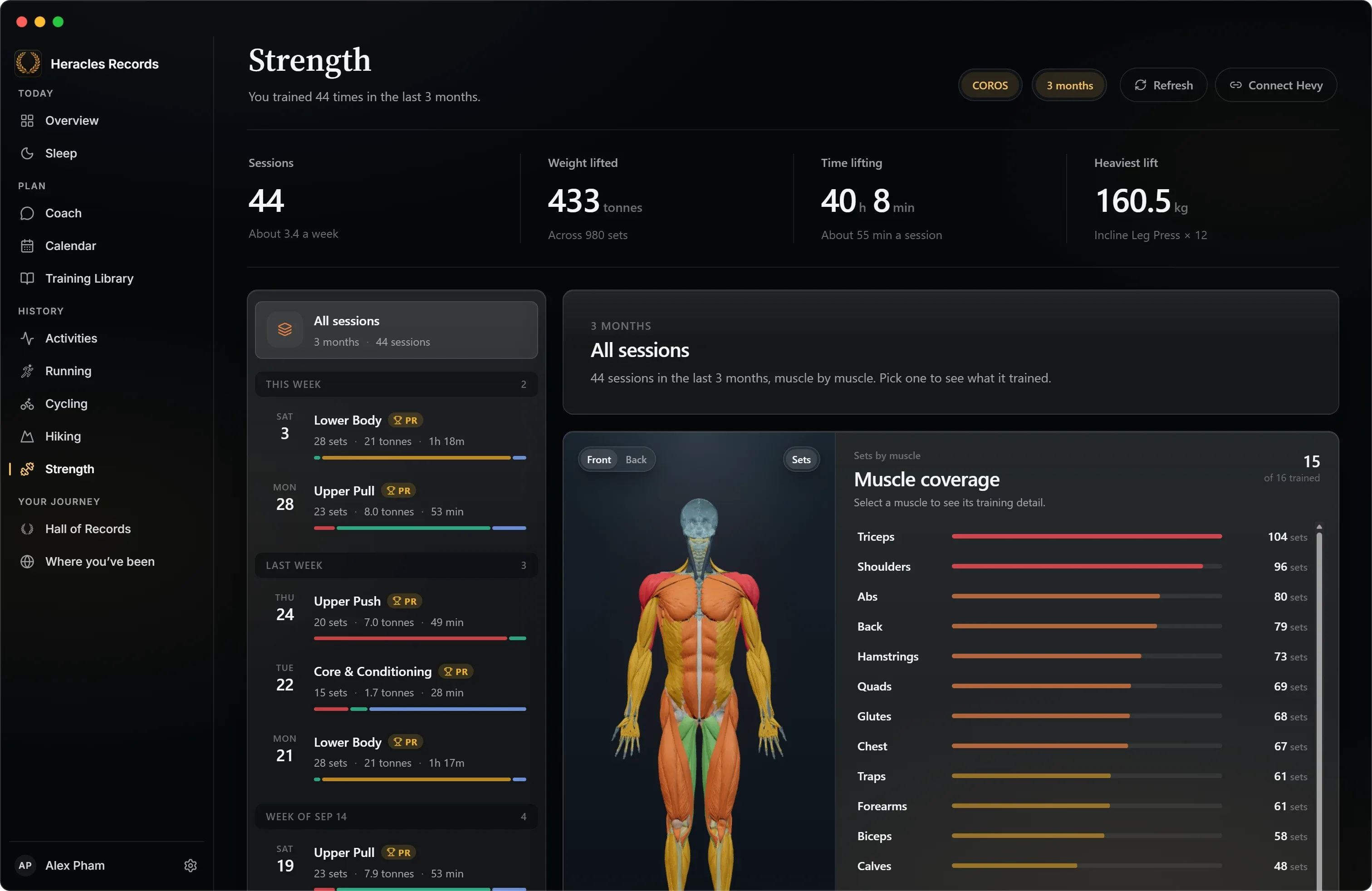 Strength: sessions and a 3D muscle map